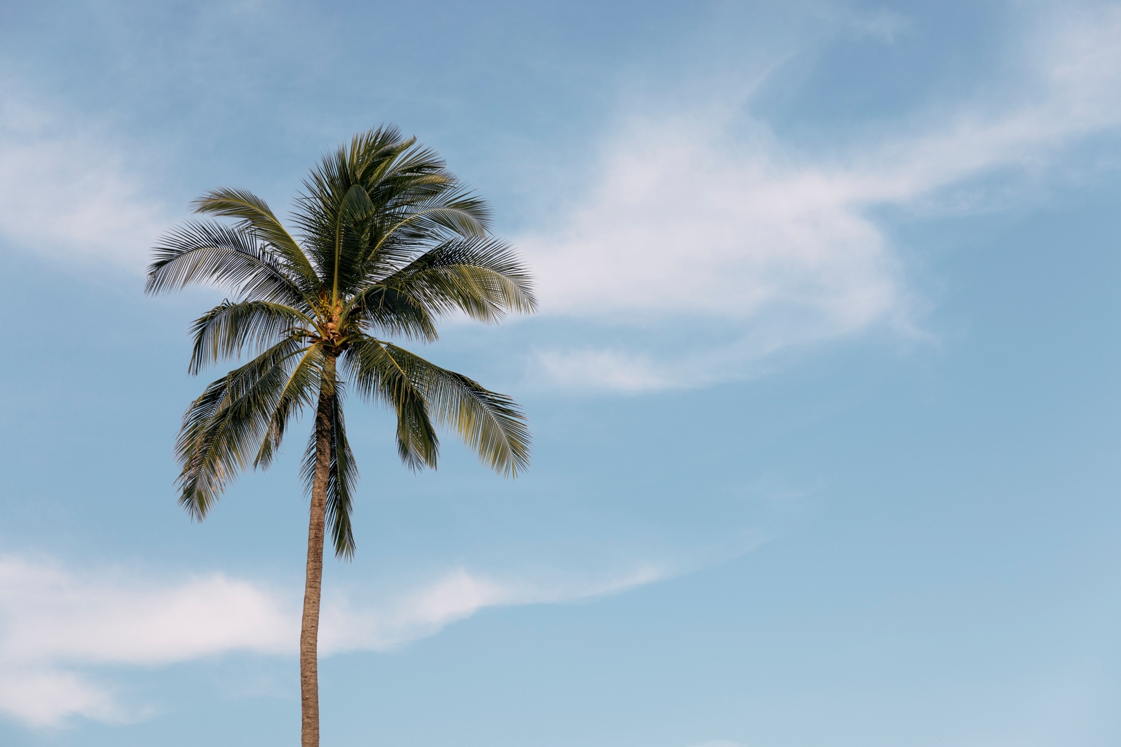 AuraNorthMiamiBeach_LuxuryApartmentCommunity_Beach