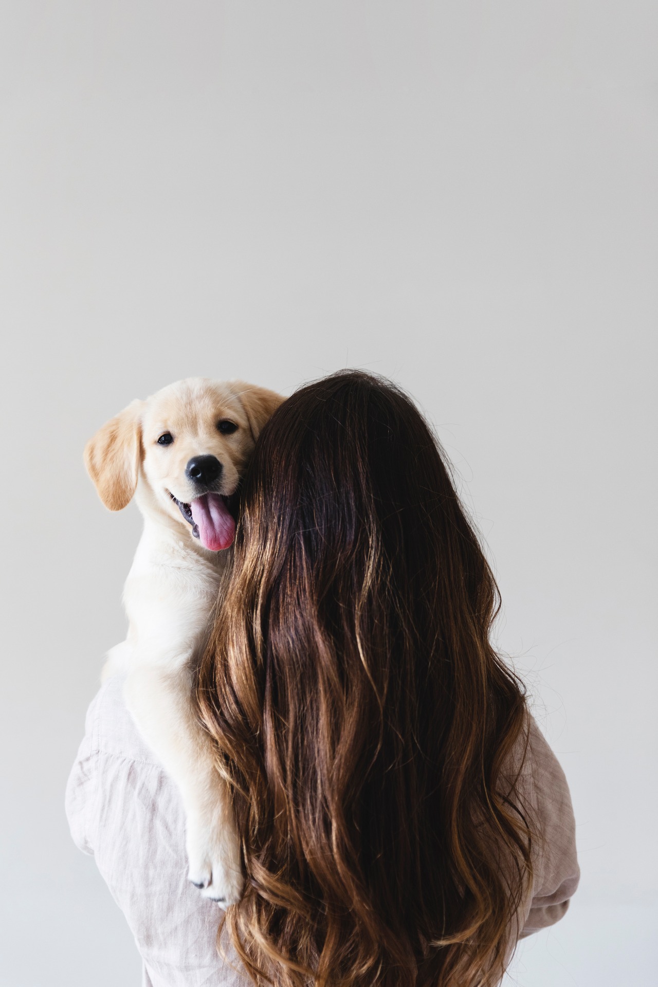 AuraNorthMiamiBeach_LuxuryApartmentCommunity_Pets